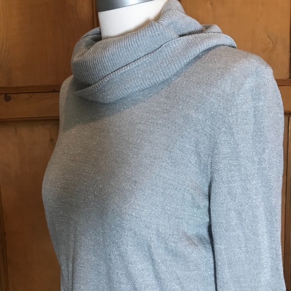 Silvery Talbots loose turtle - Picture 1 of 4